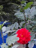 CIMG5708