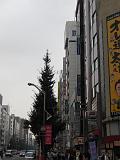 CIMG0115