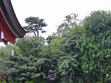 CIMG0239